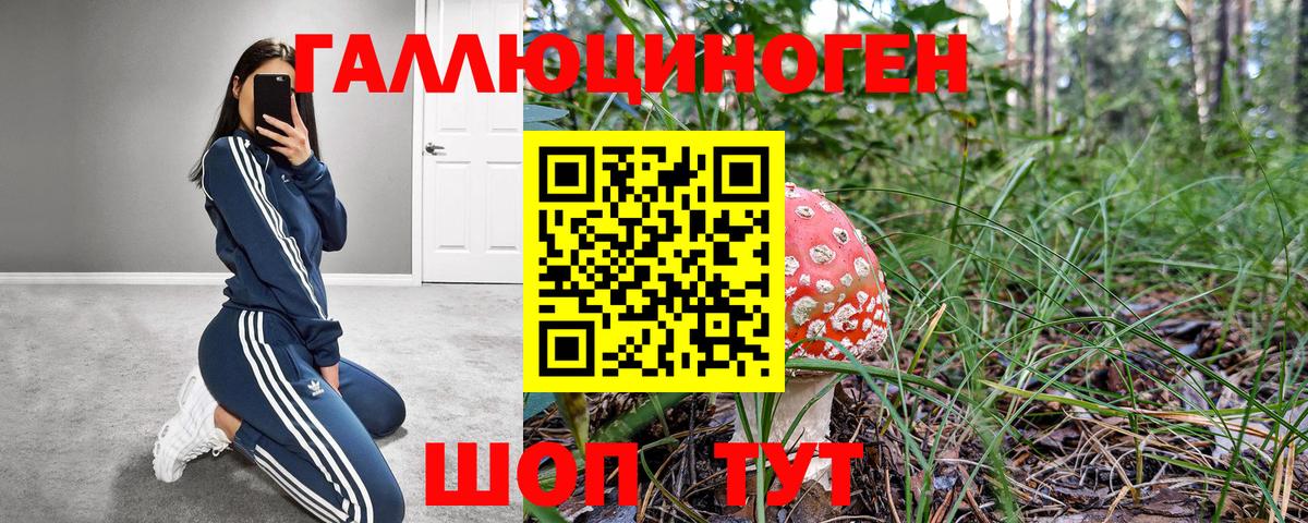 Дивногорск  Псилоцибиновые грибы мухоморы  Вход с VPN 