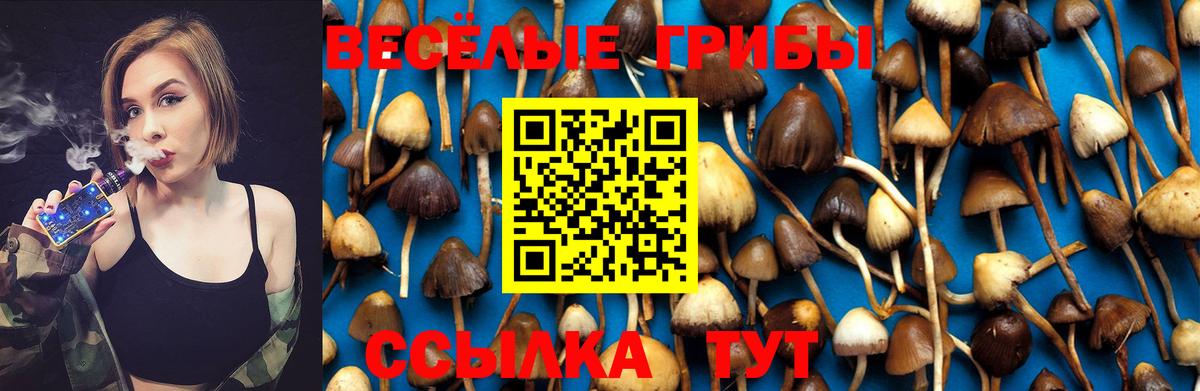 Галлюциногенные грибы Psilocybe Дивногорск